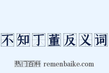不知丁董反义词是什么意思的图片